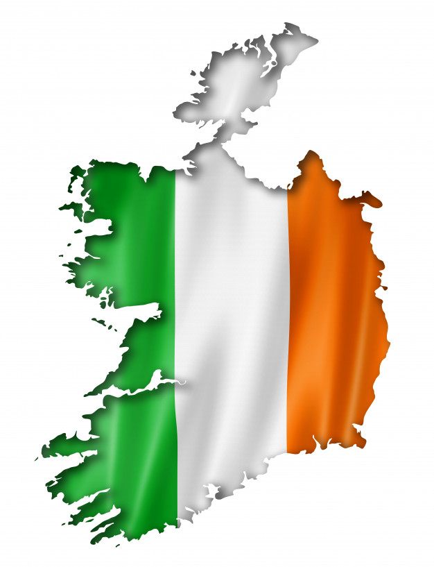 VIN Check Ireland History