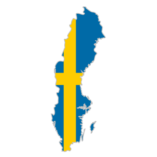VIN Check Sweden history