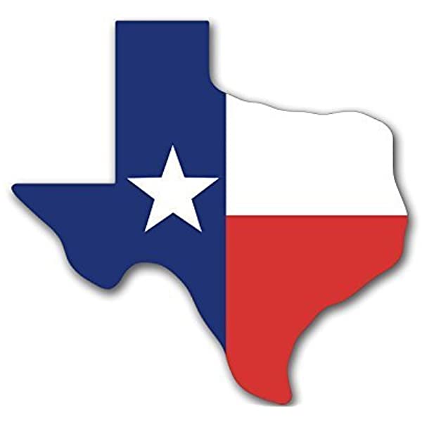 VIN Check Texas