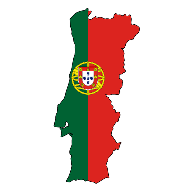 VIN Code Check Portugal