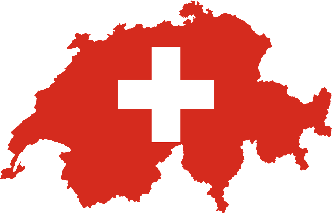 vin check switzerland history